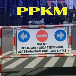 Mobil Pribadi Jarang Dipakai Saat PPKM