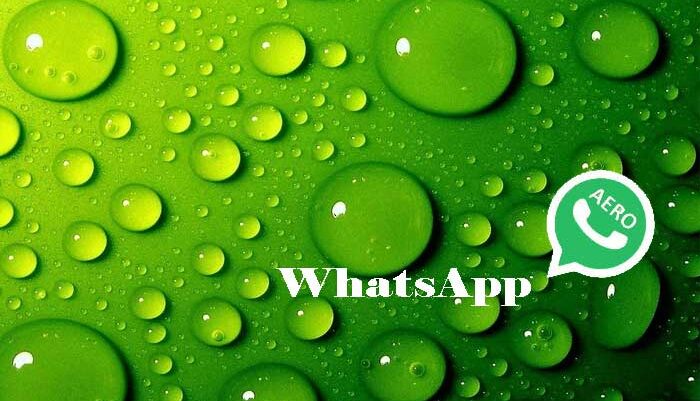 Whatsapp Aero