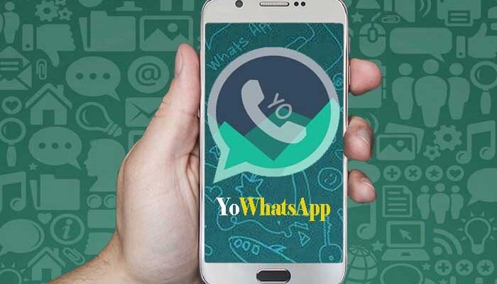 YoWhatsApp Apk
