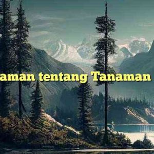 Pemahaman tentang Tanaman Bonsai